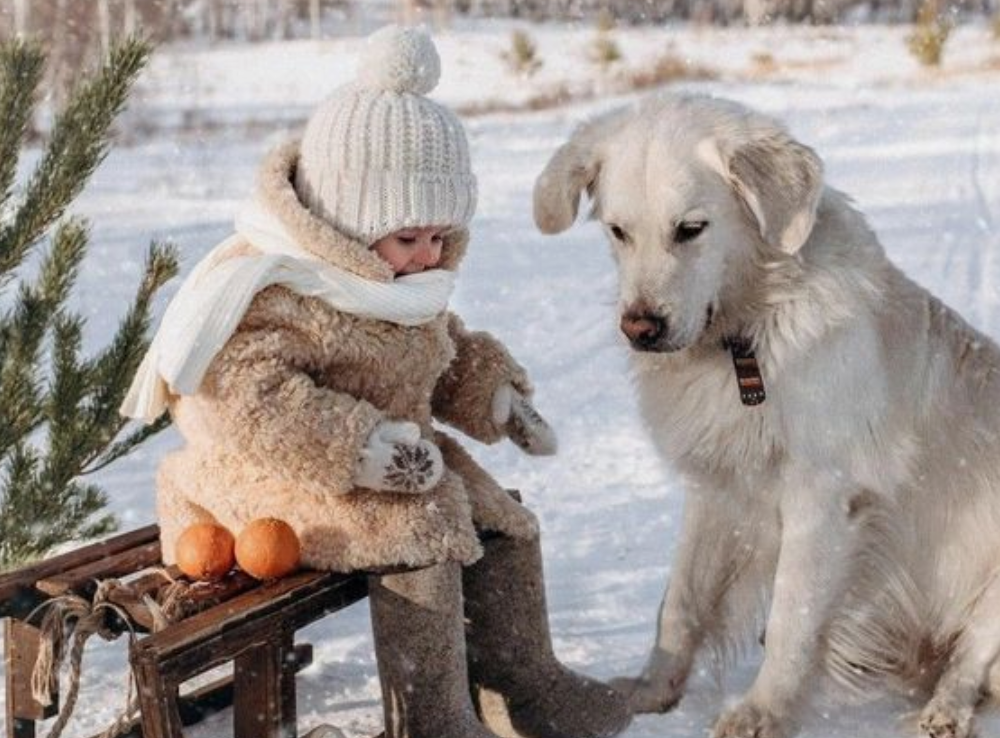 Illustratie bij: Dé truc om met je jonge kind te kunnen sleeën in de sneeuw gaat viral